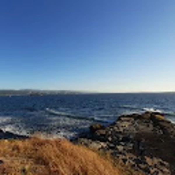 elizabeth salazar profe.social